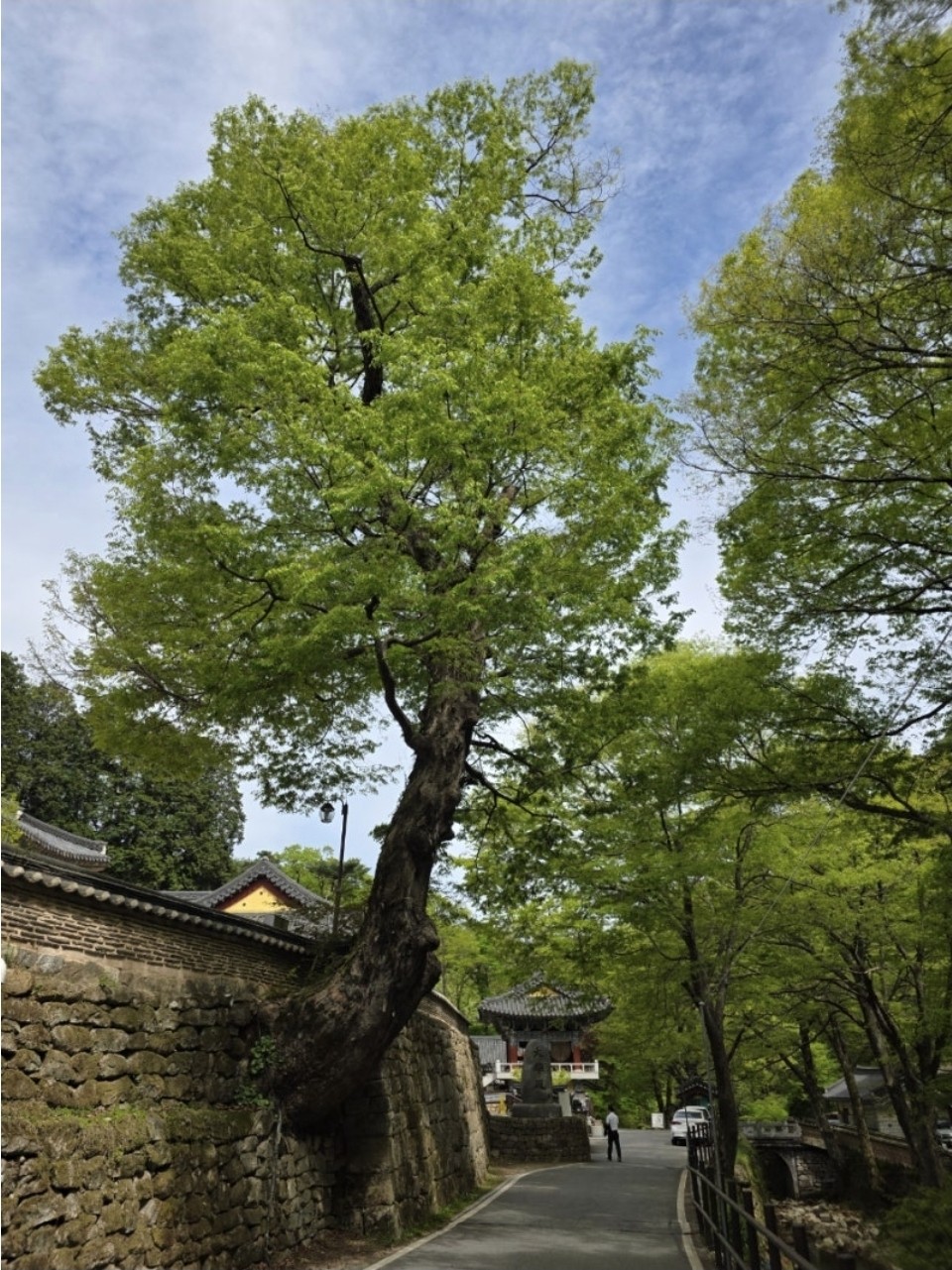Post image 8