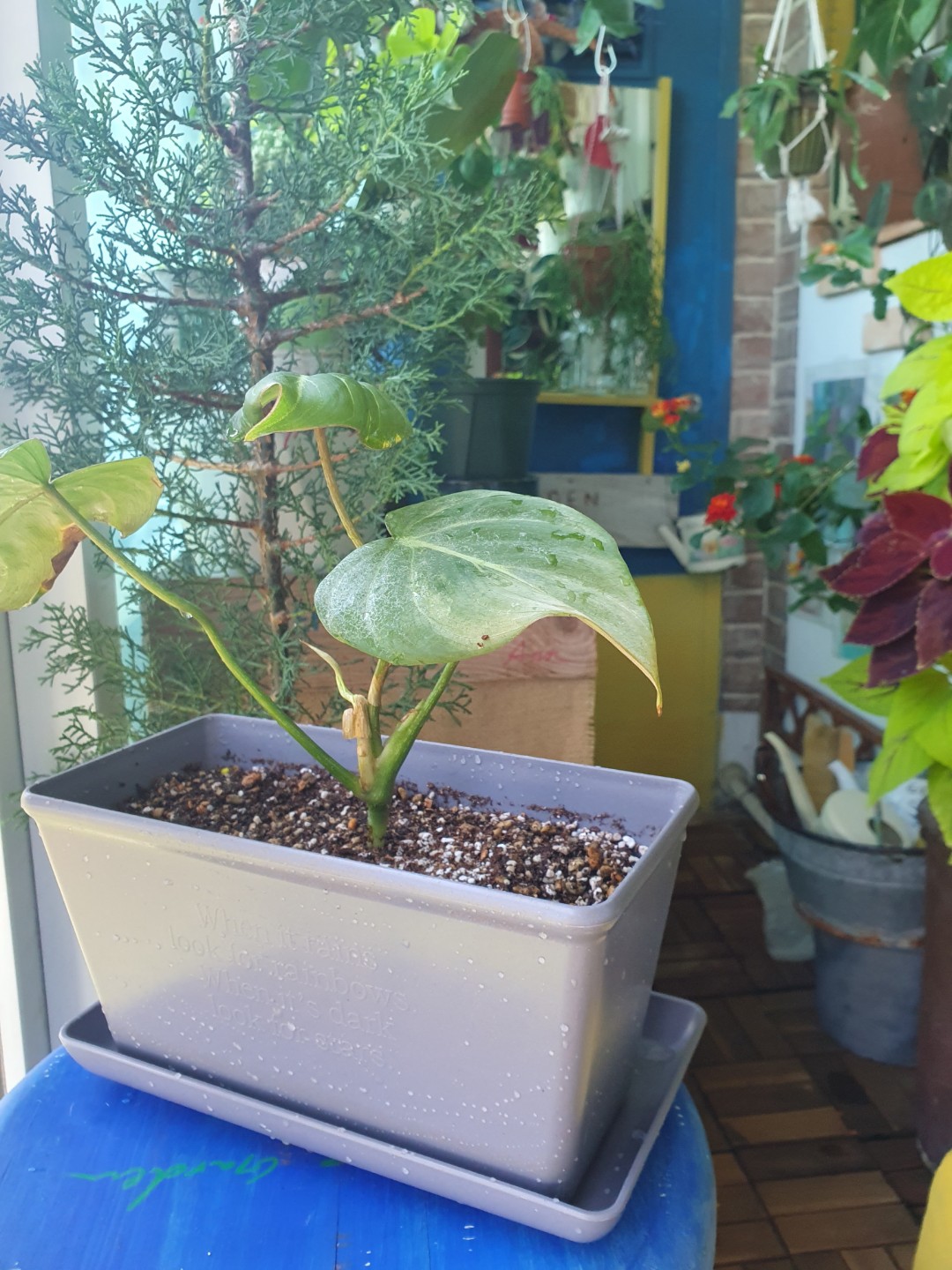Post image 53