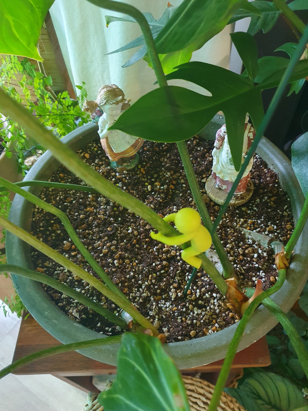 Post image 37
