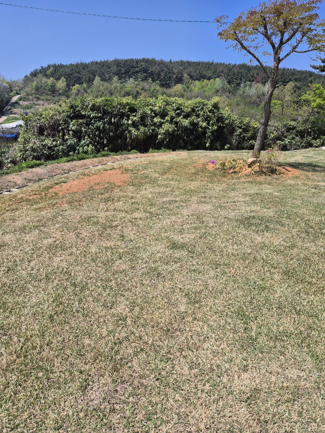 Post image 6
