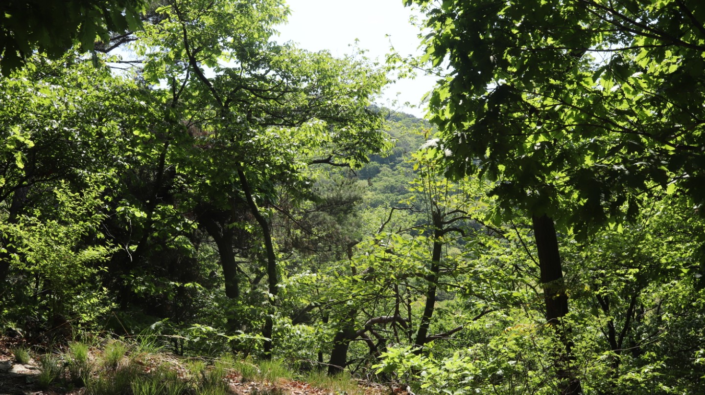 Post image 6