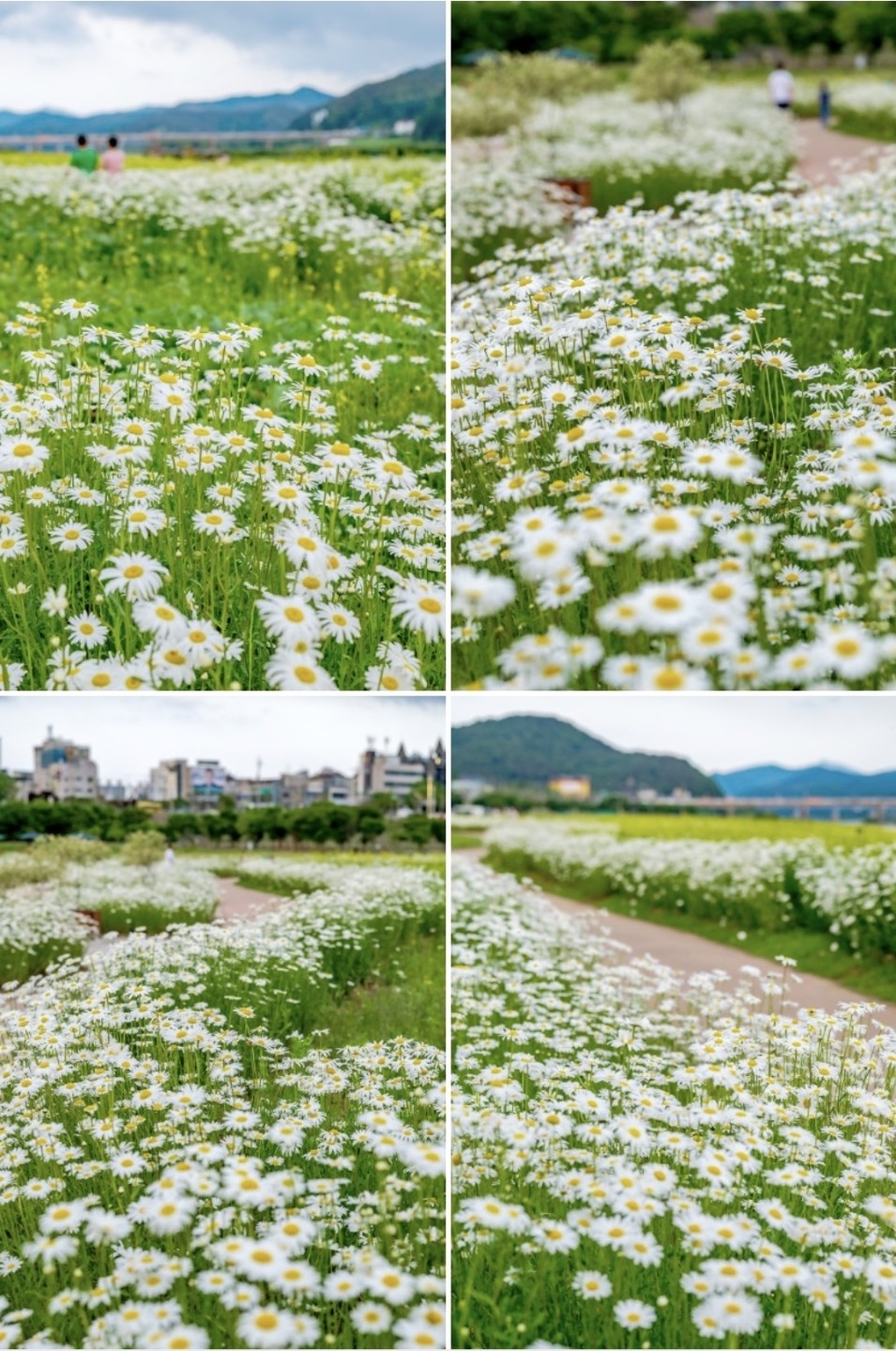 Post image 22