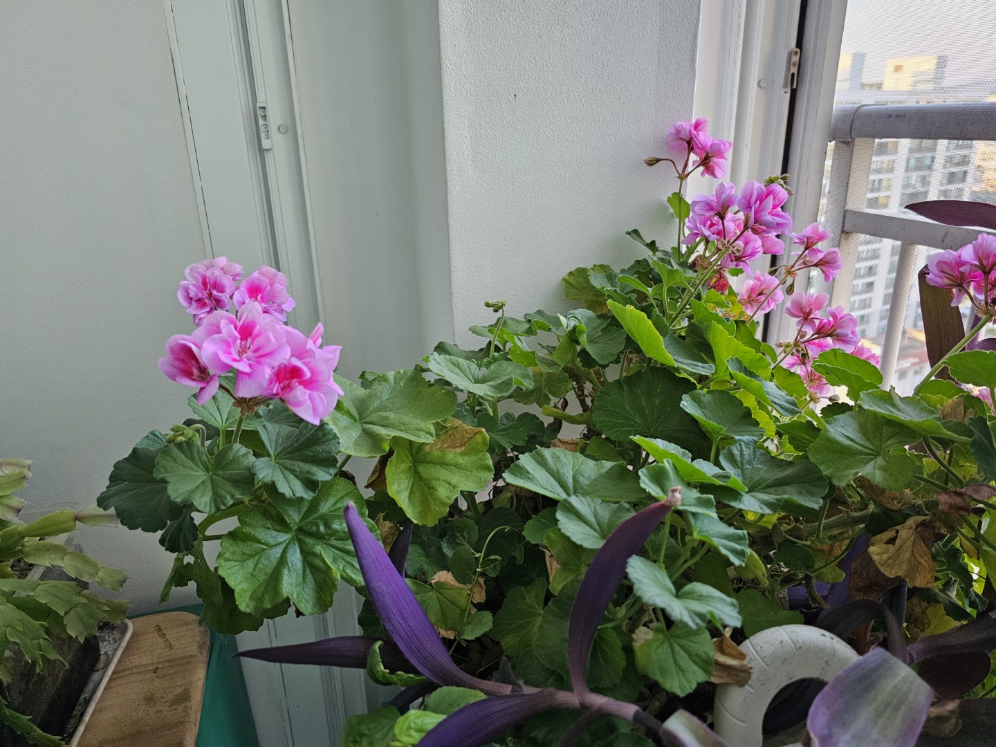 Post image 4