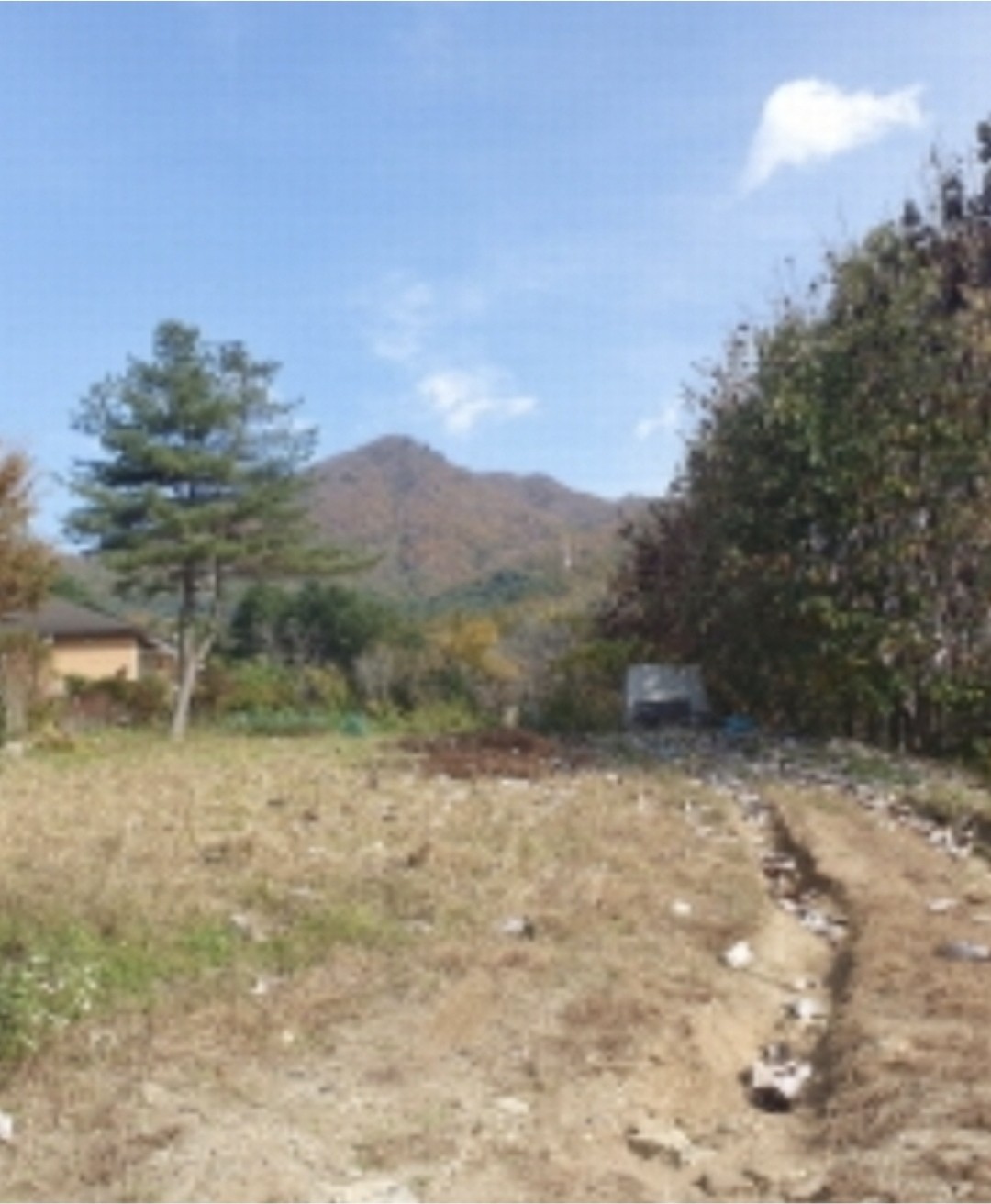 Post image 7