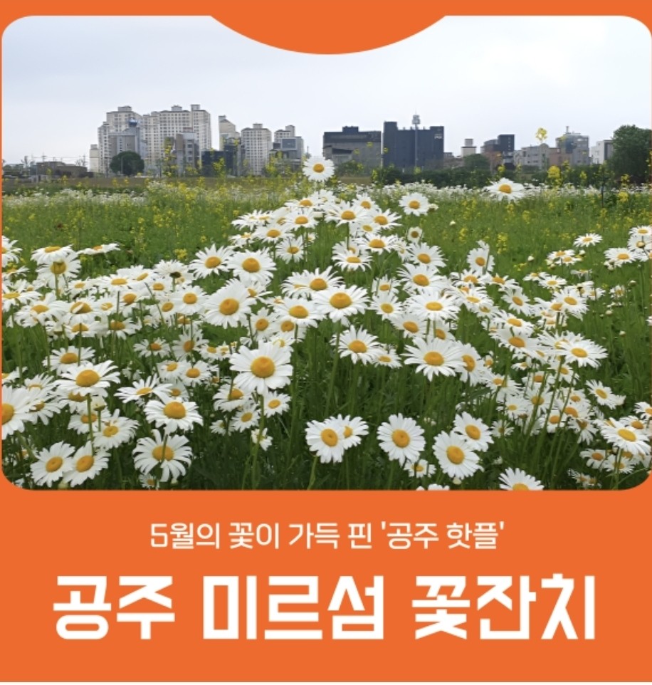 Post image 16