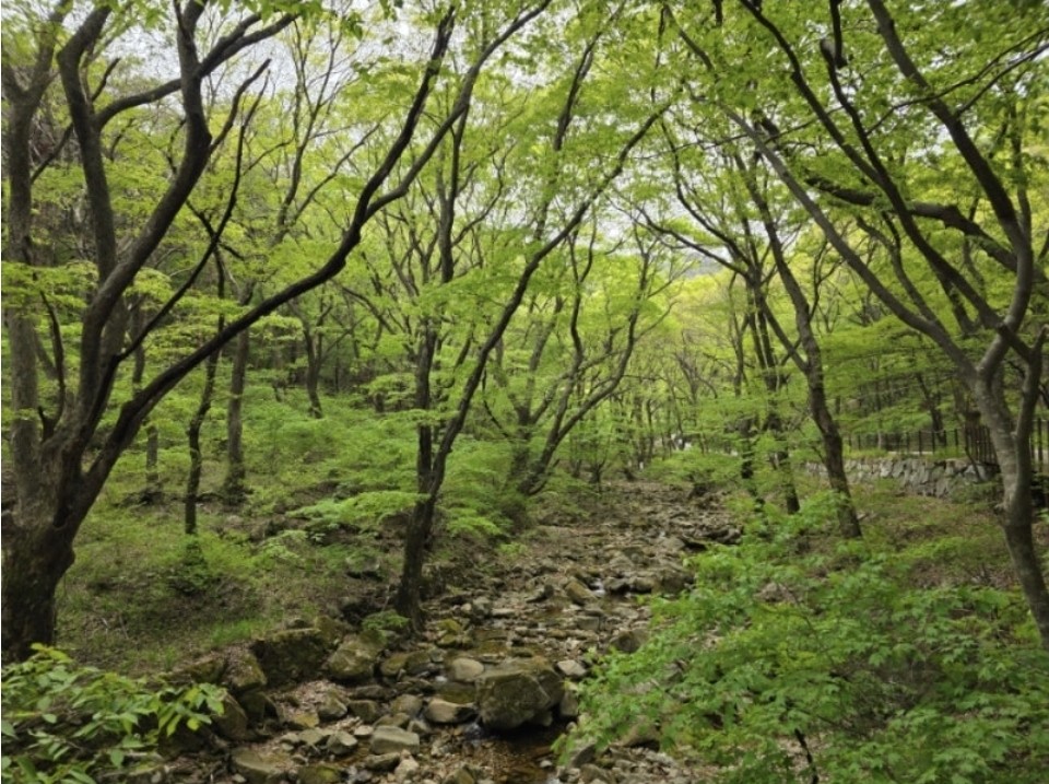 Post image 11