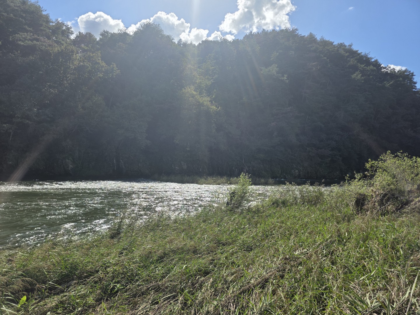 Post image 8