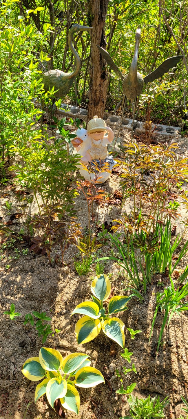 Post image 10