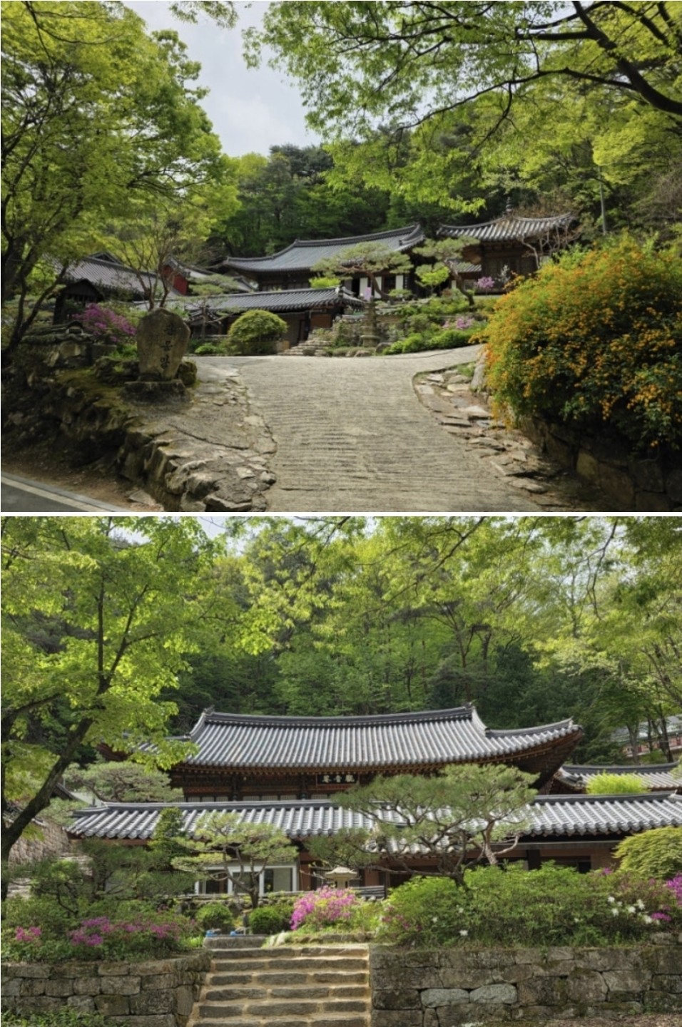 Post image 7