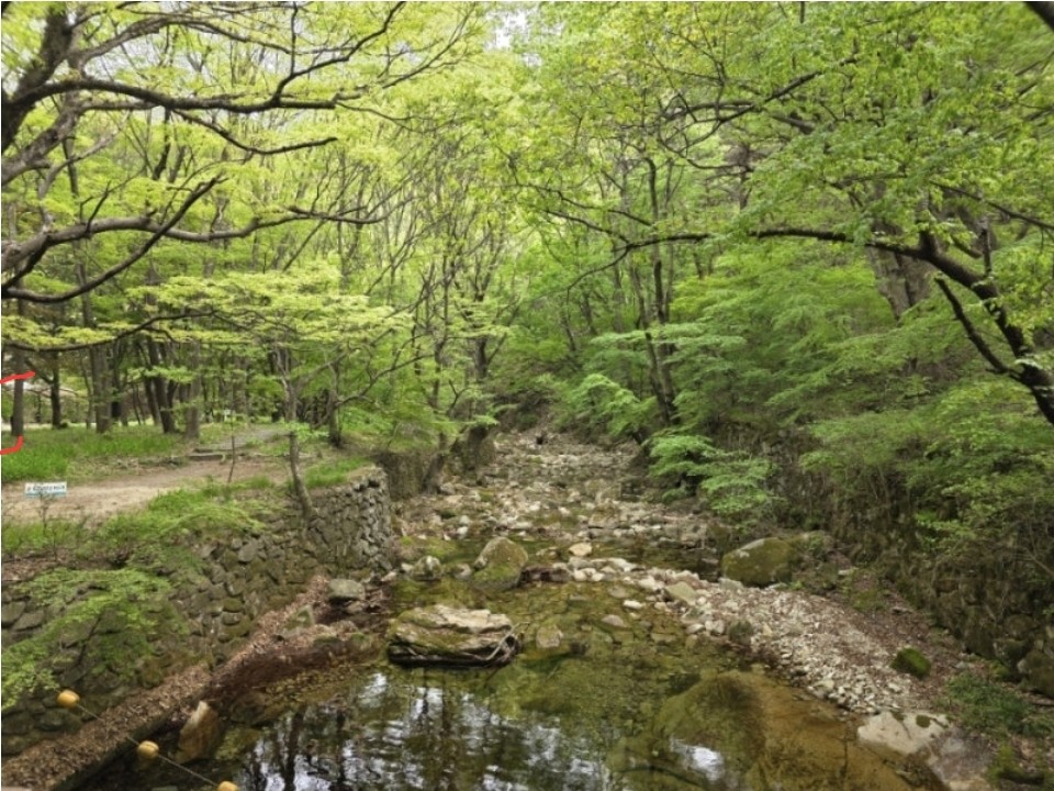 Post image 13