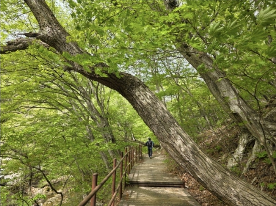 Post image 10