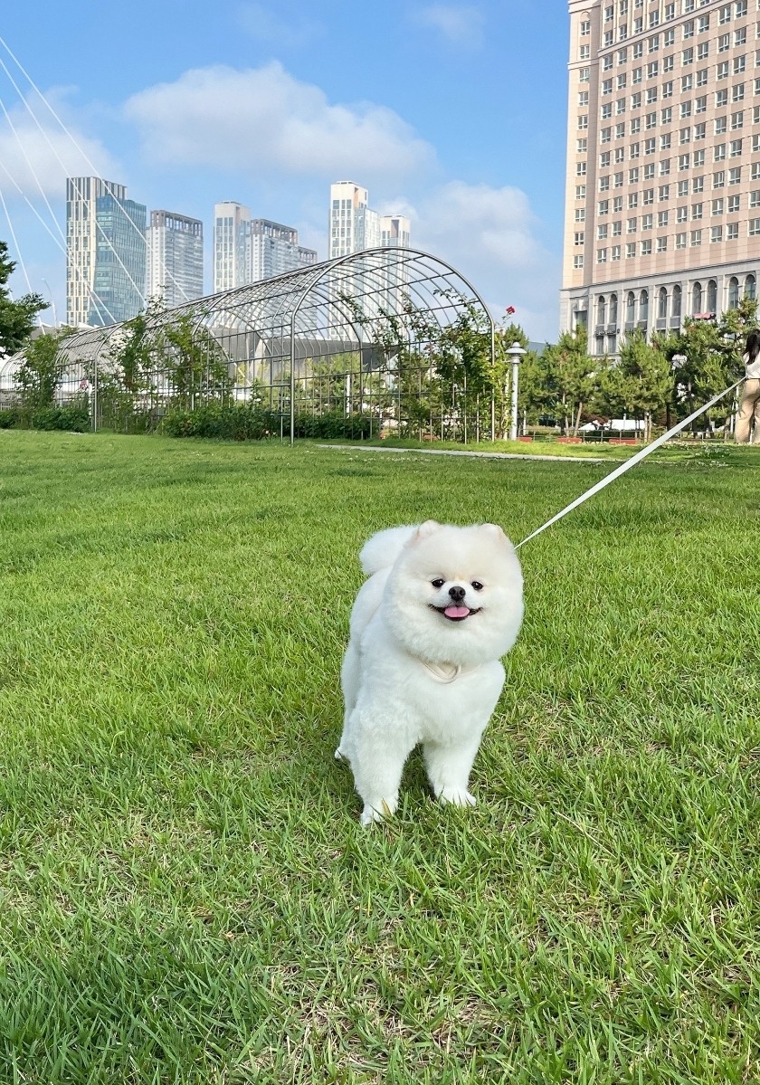 우리 귀여운 첫째 형아 바비에요