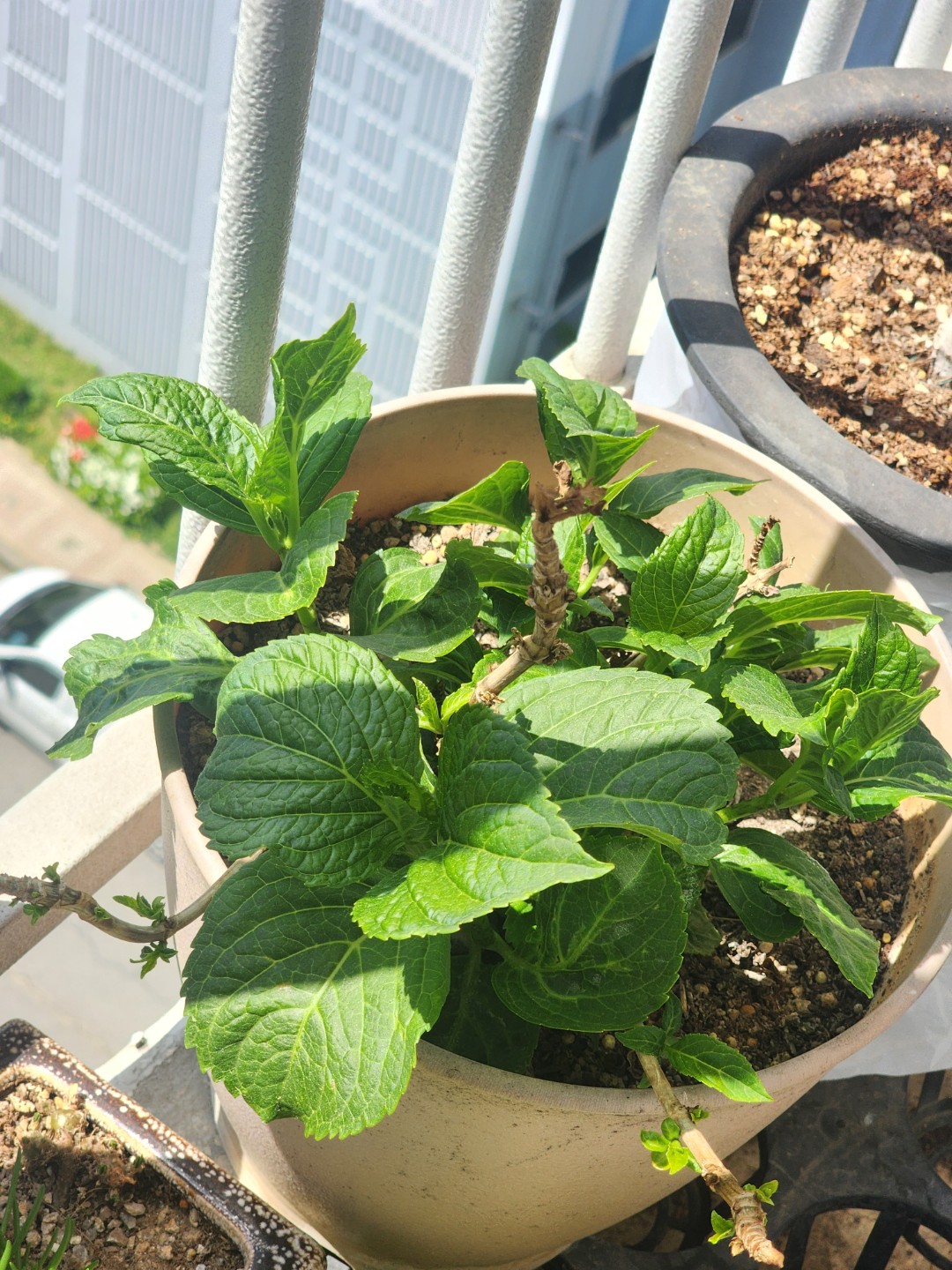 Post image 7