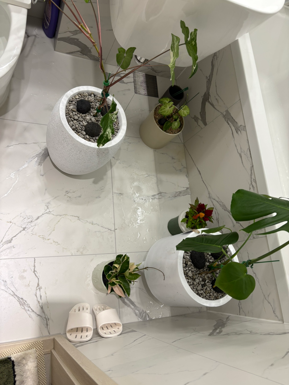 Post image 6