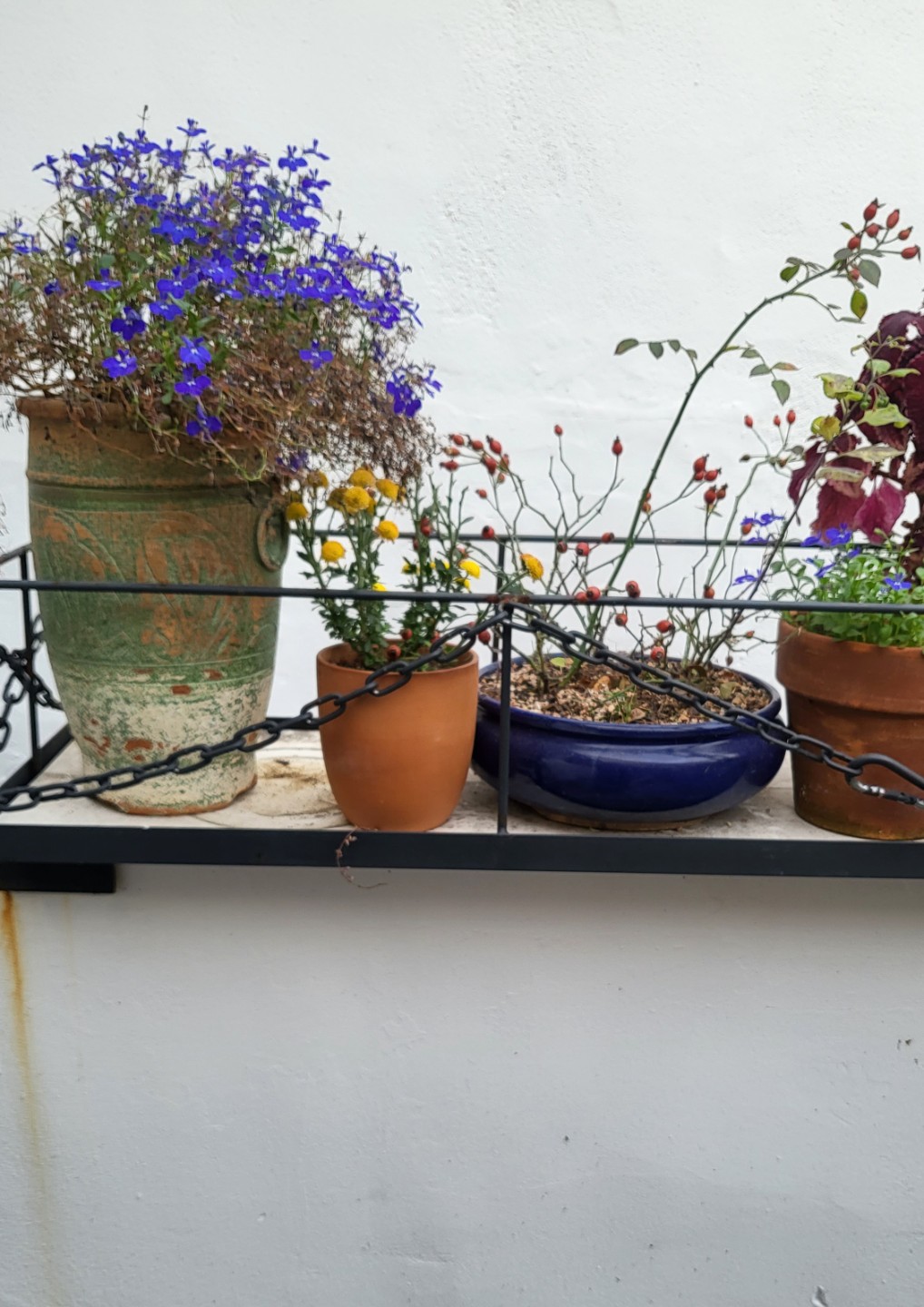 Post image 1