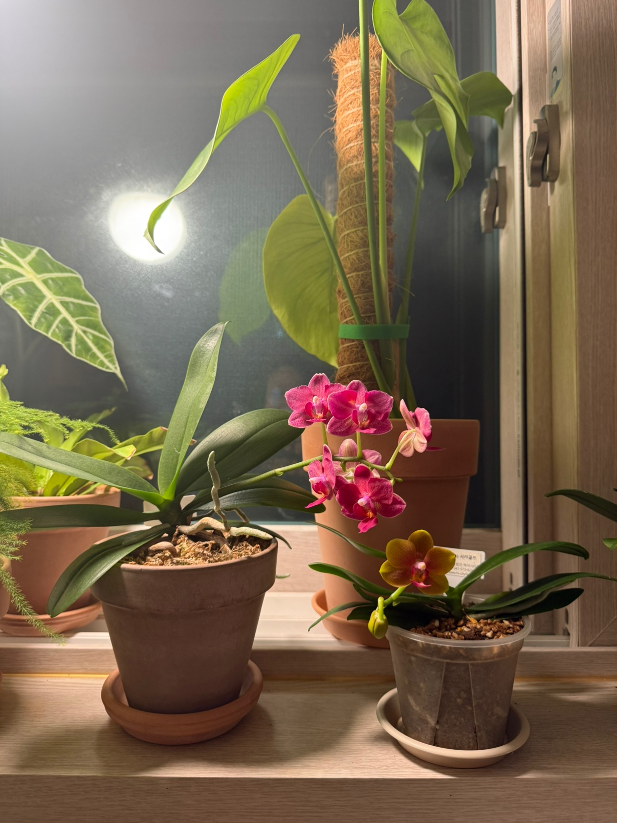 Post image 3