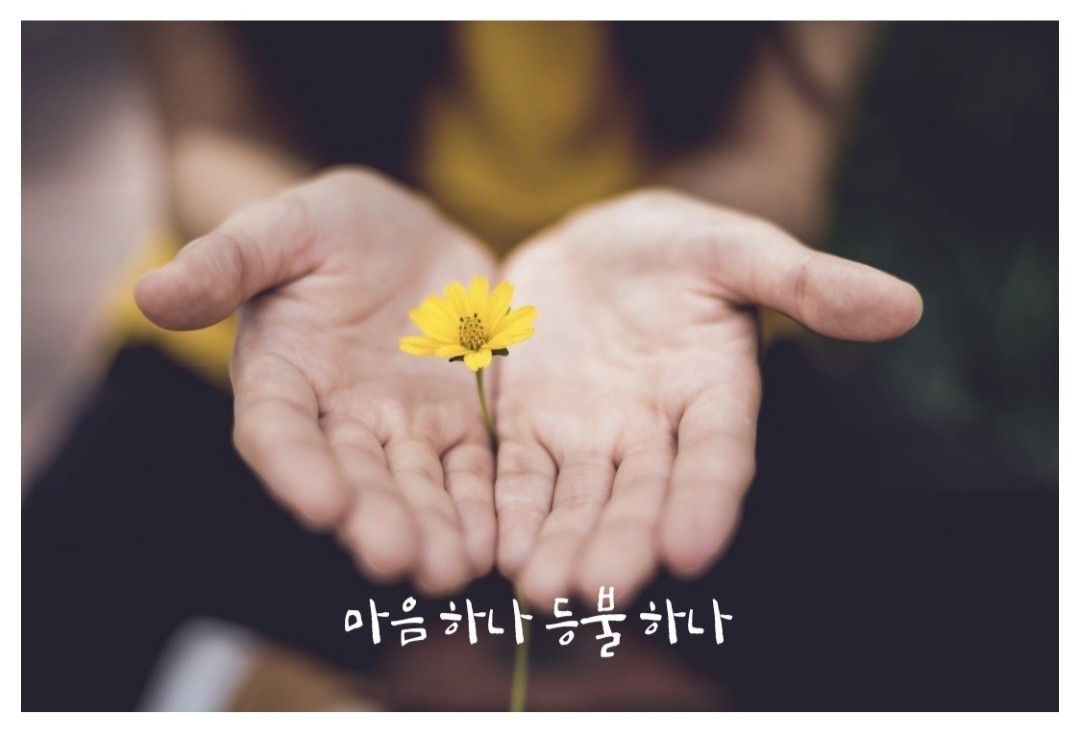 2026 4 26 일 출석부  삶이란  참으로 복잡하고 아슬아슬합니다. 걱정이 없는 날이