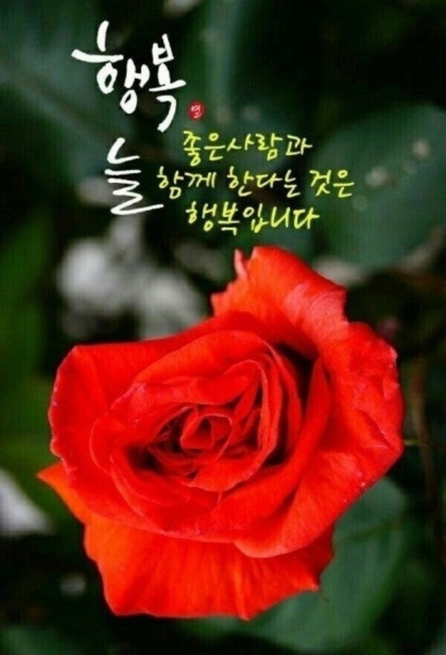 삶이란  참으로 복잡하고 아슬아슬합니다.