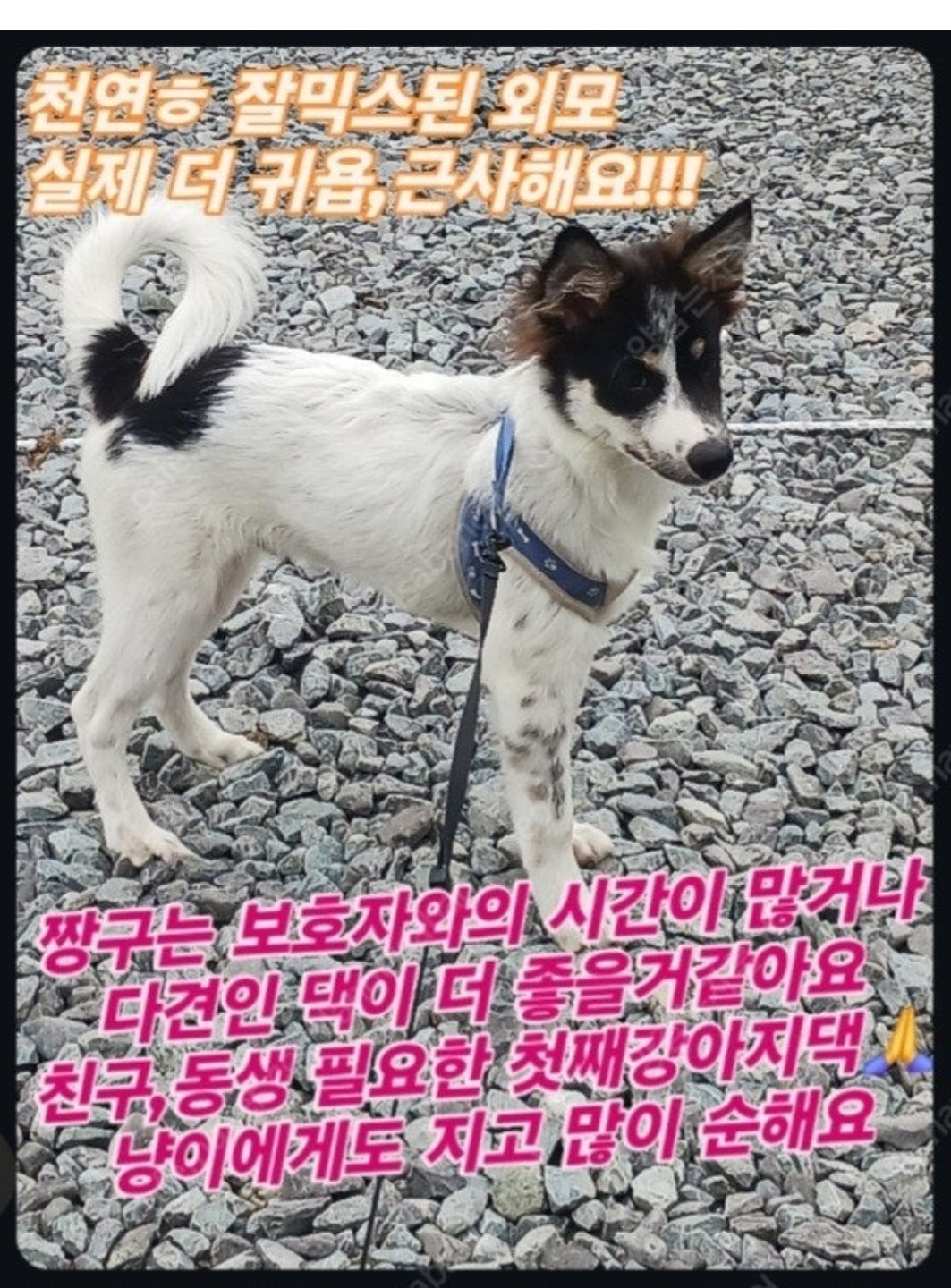 Post image 20