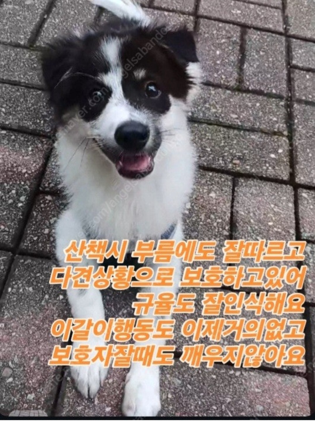 Post image 24