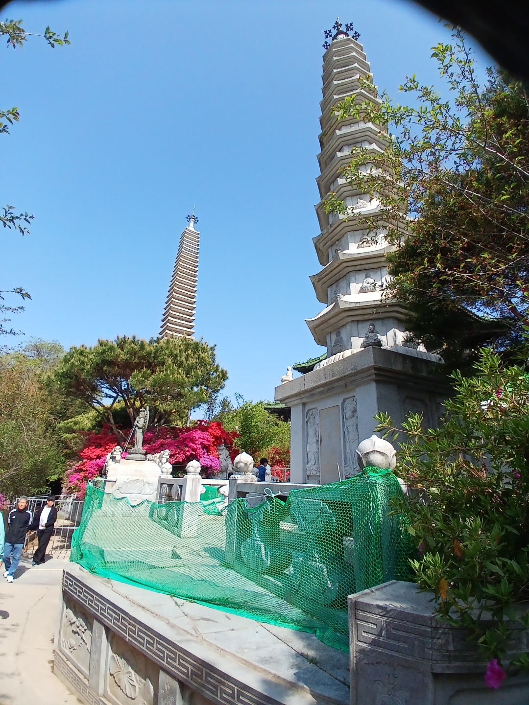 Post image 23