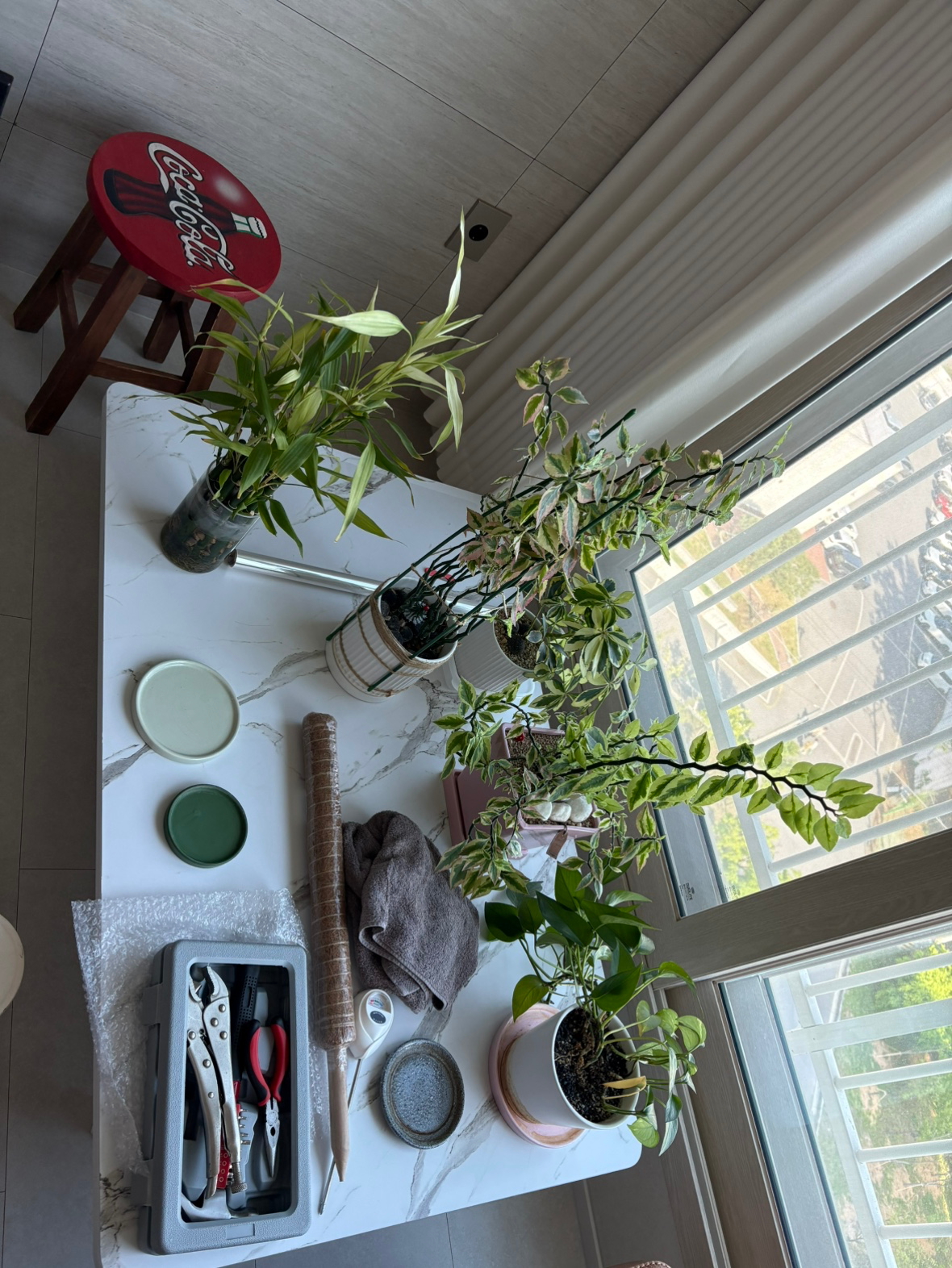 Post image 5