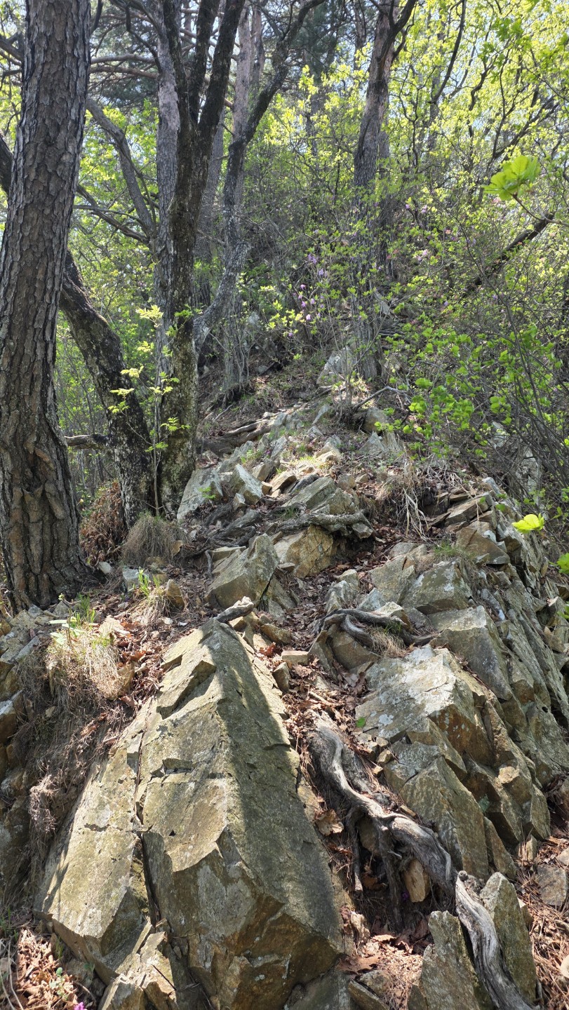 Post image 13