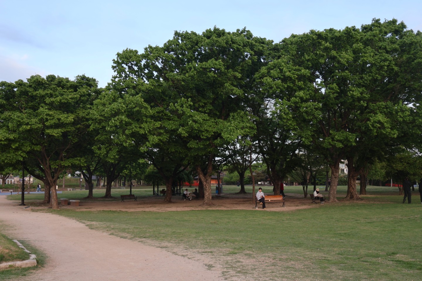 Post image 3