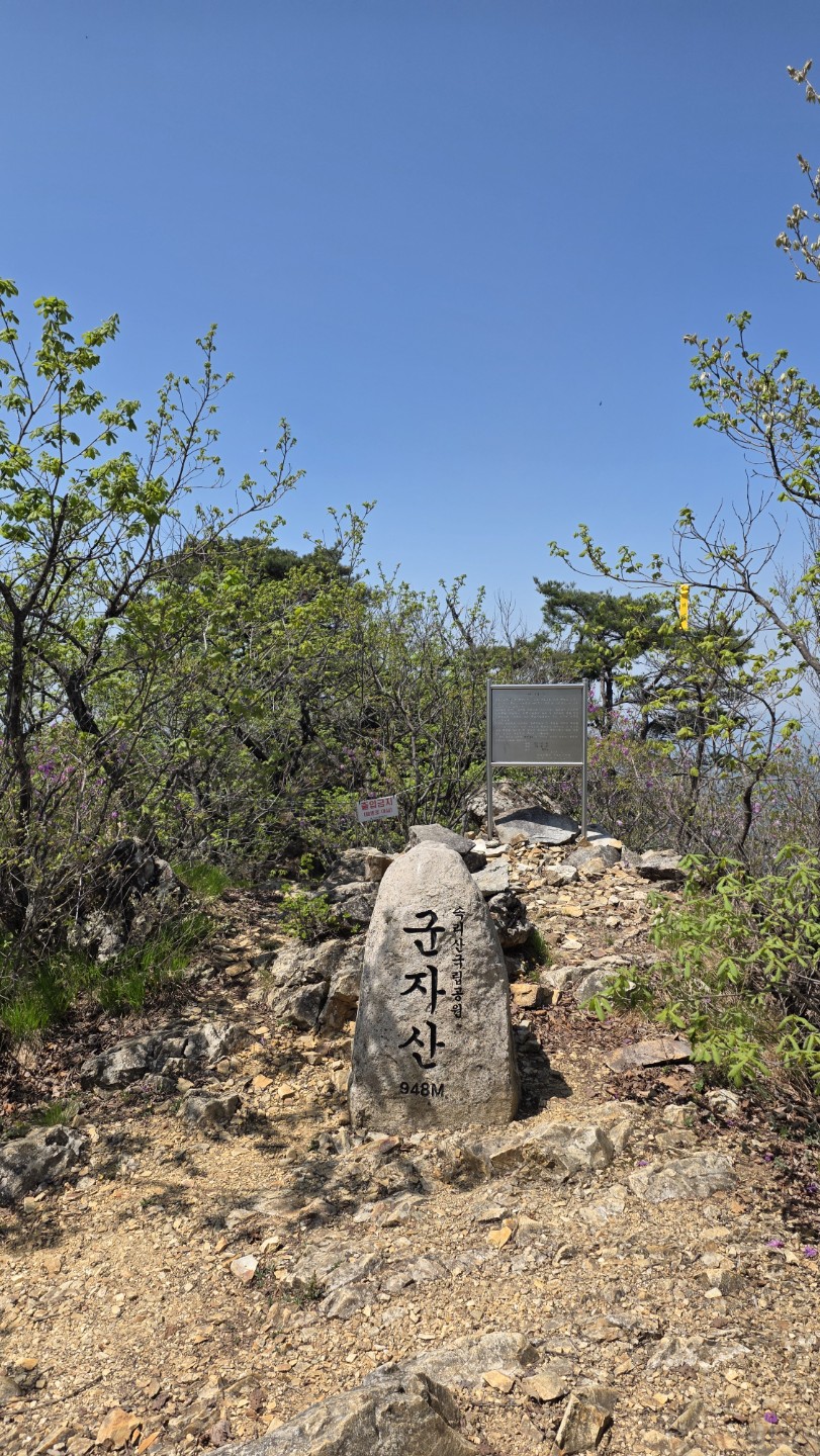 Post image 25