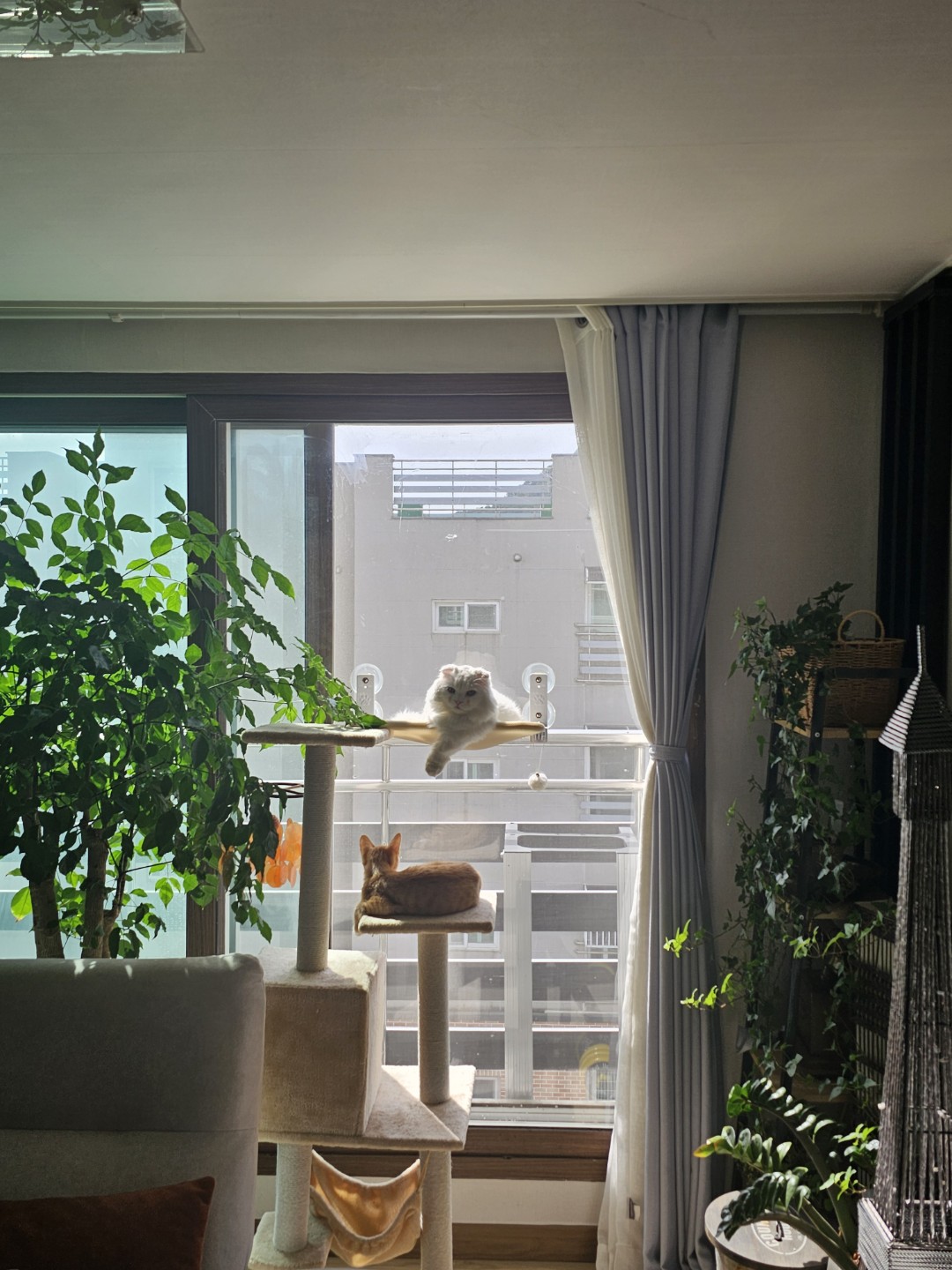 Post image 17