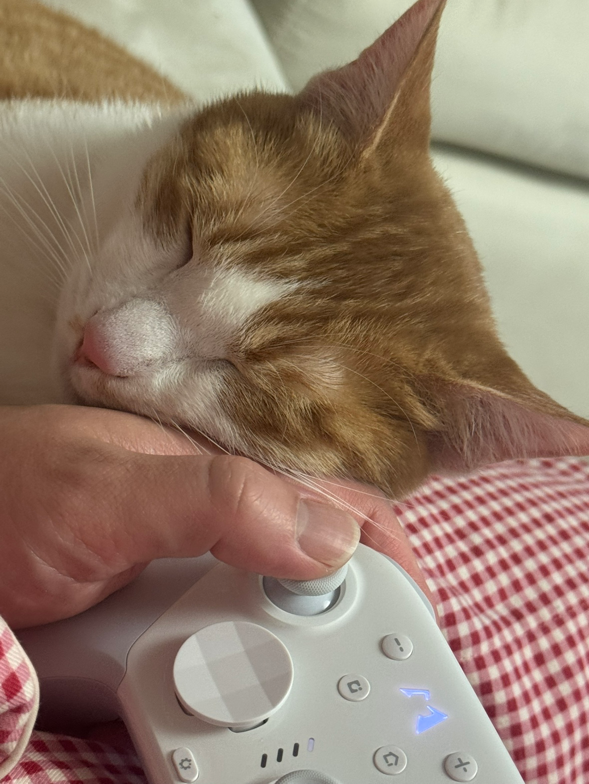 Post image 12