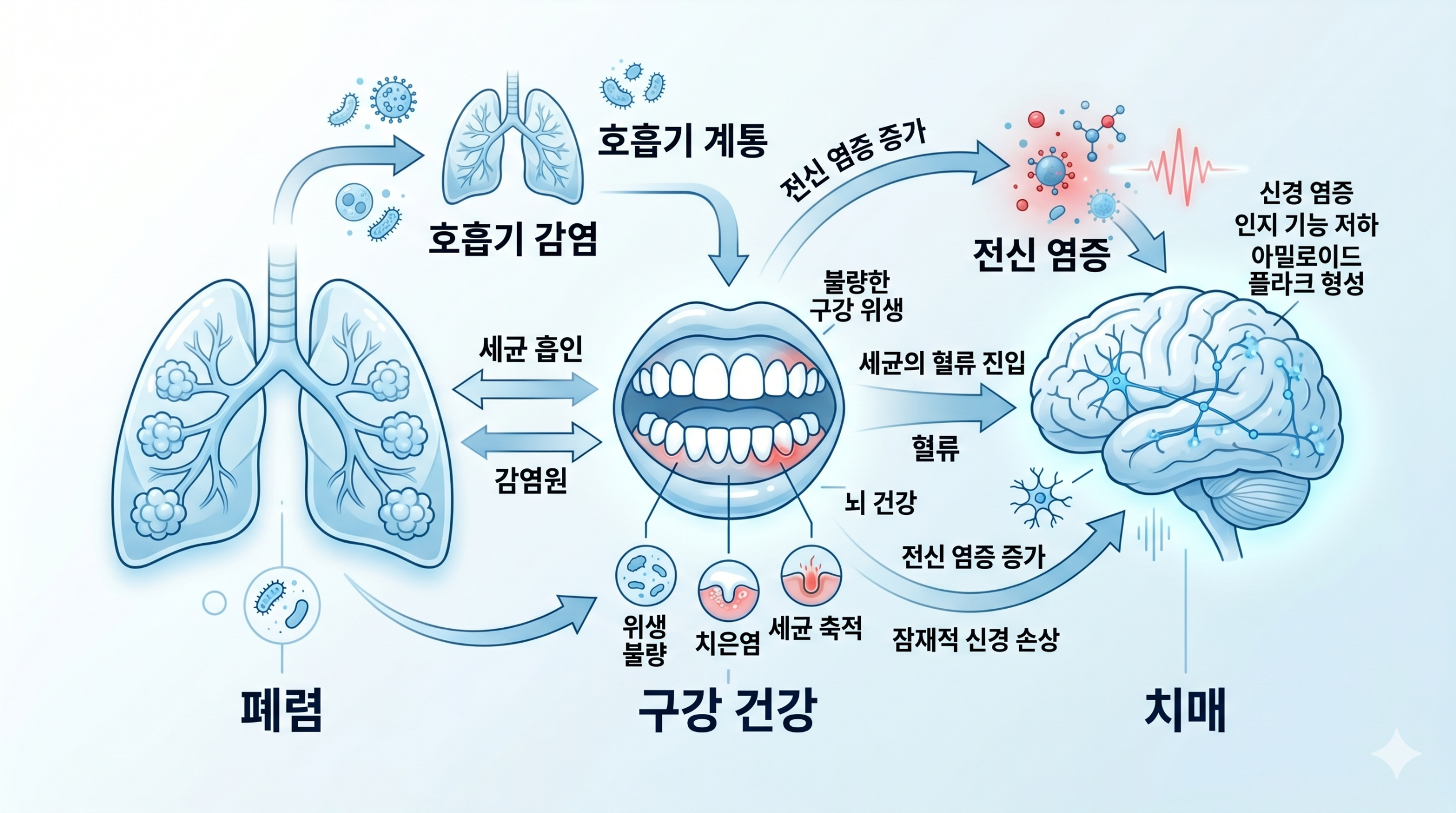 “폐렴·구강·치매는 연결돼 있습니다 (기능이 무너지는 결정적 이유)”