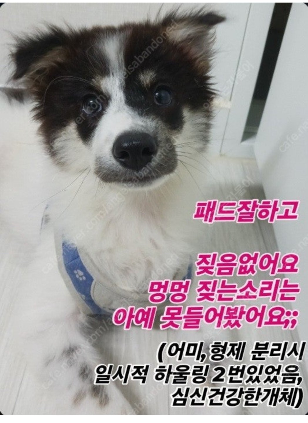 Post image 22