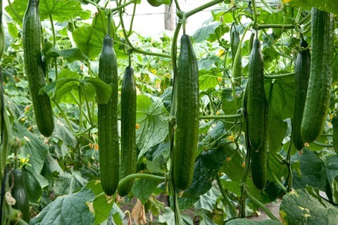 Post image 13