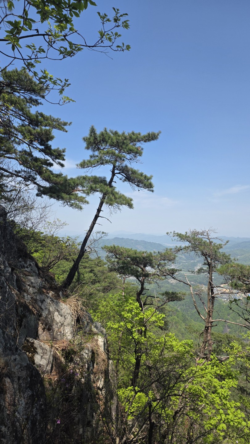Post image 9