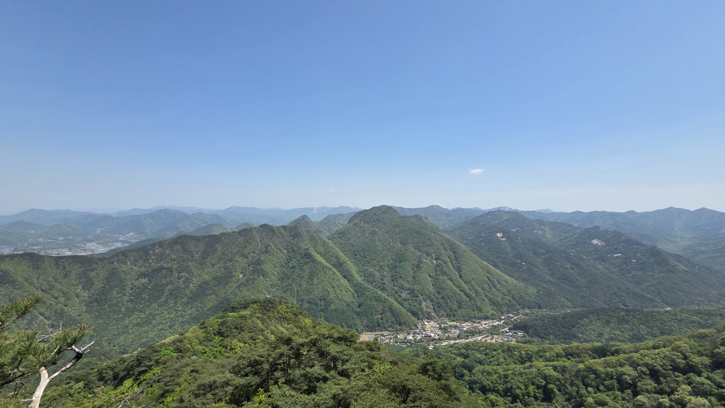 Post image 11
