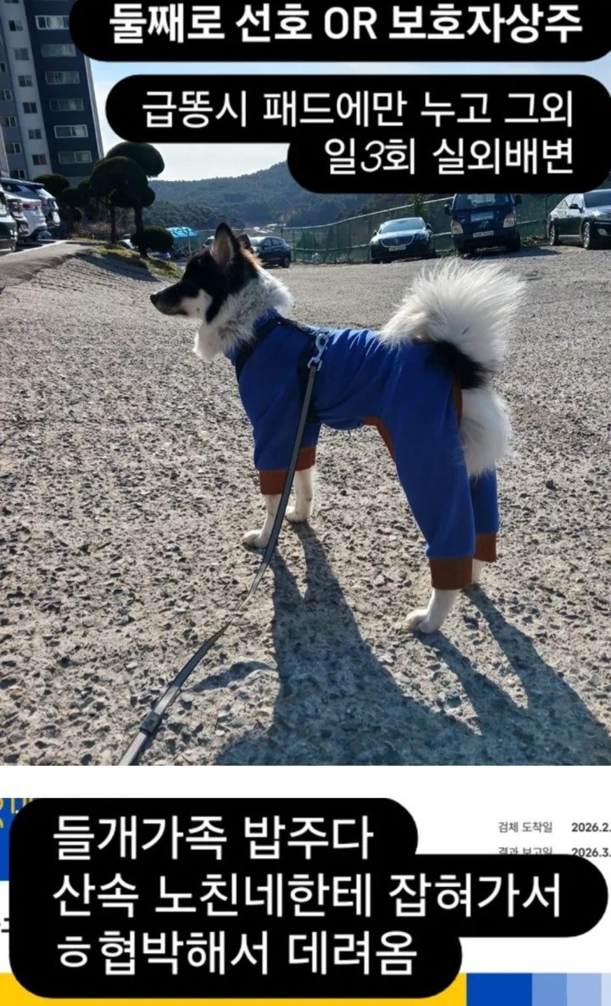 Post image 16