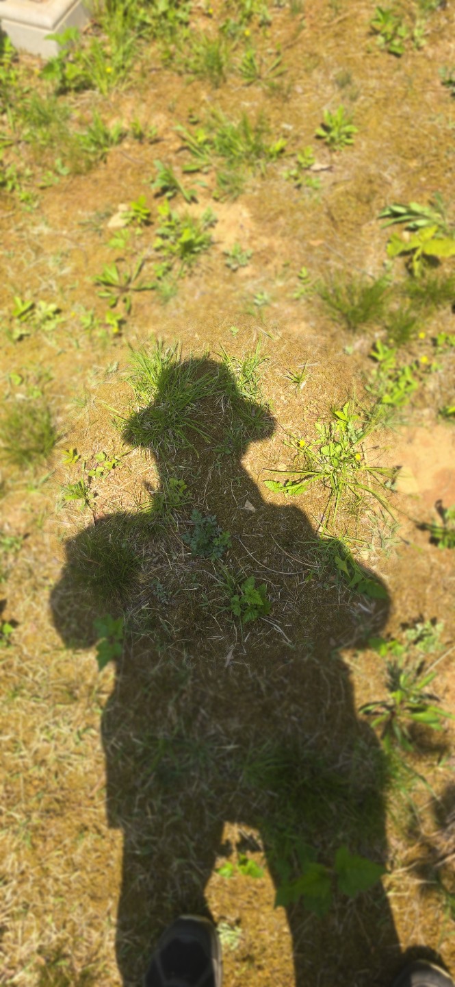 삶이란  참으로 복잡하고 아슬아슬합니다.