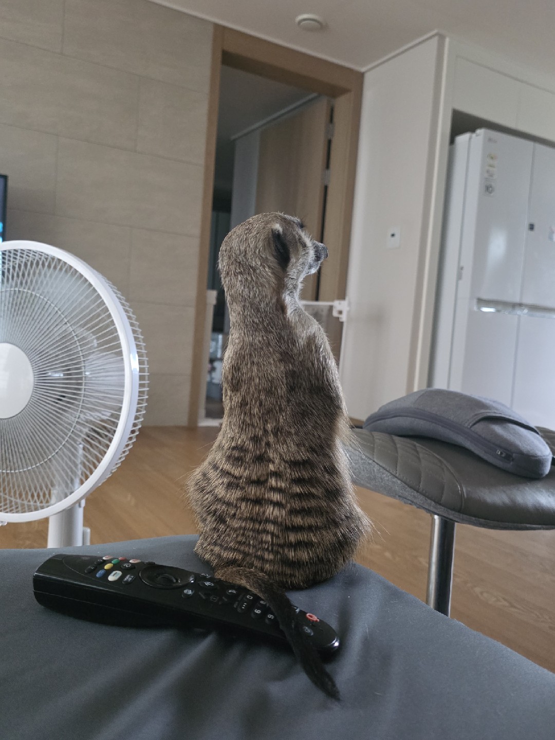 안녕하세요