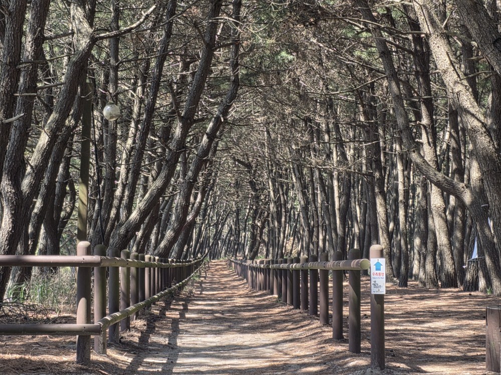 Post image 5