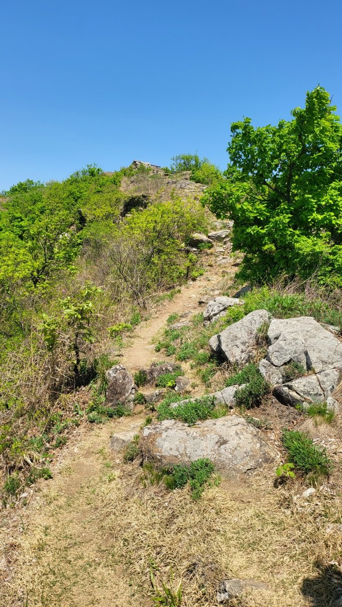 Post image 13