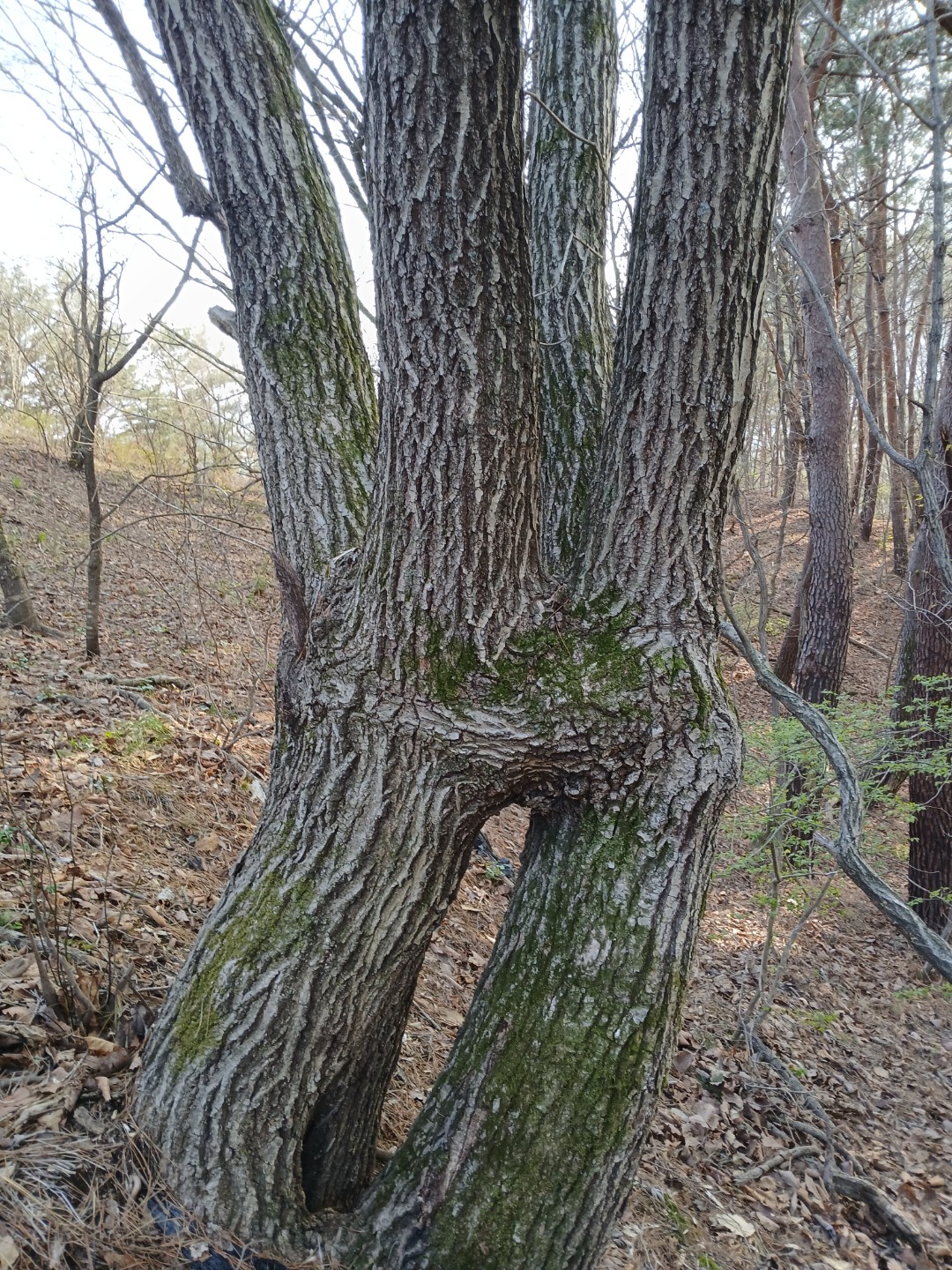 Post image 4