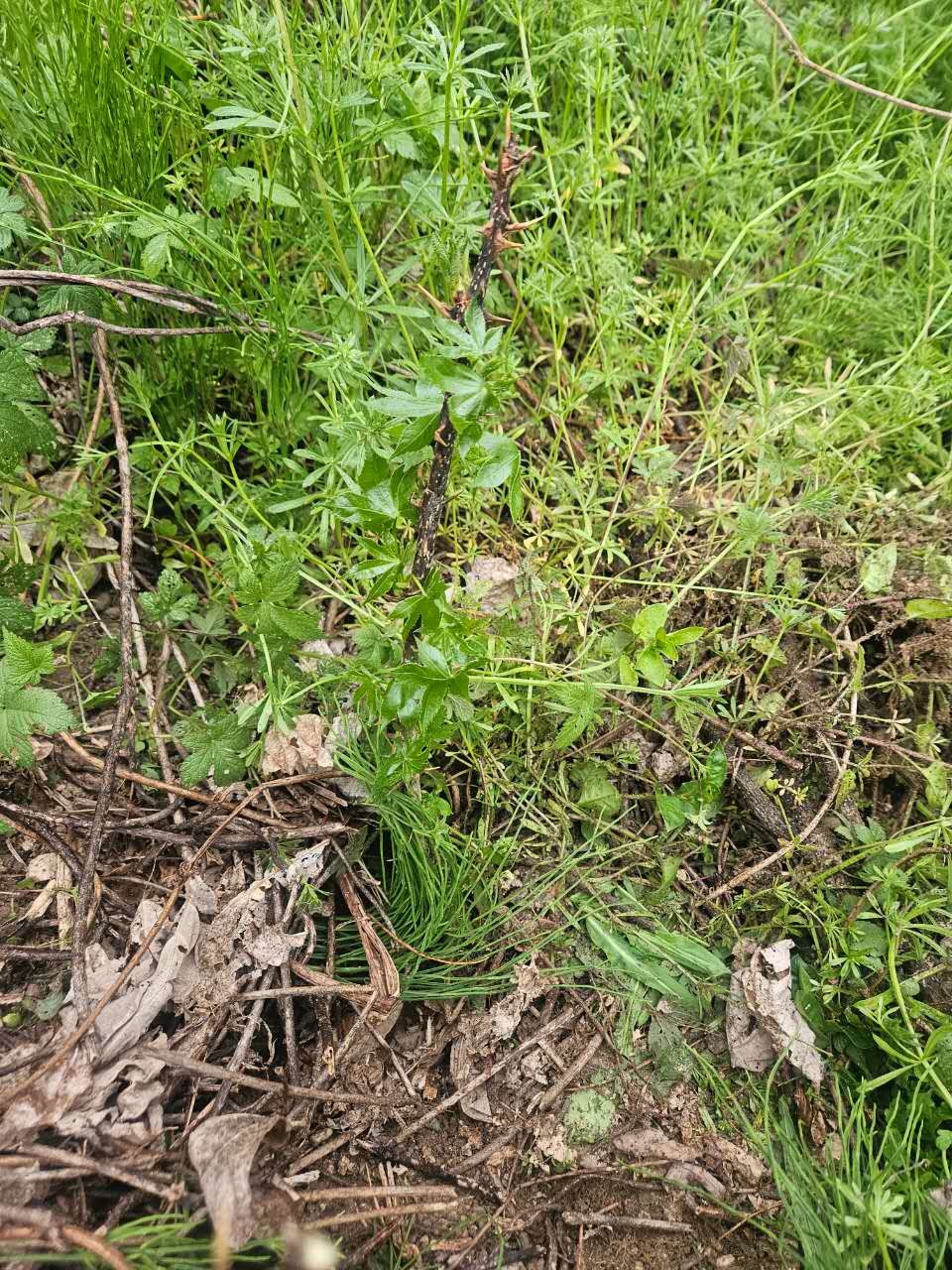 Post image 5