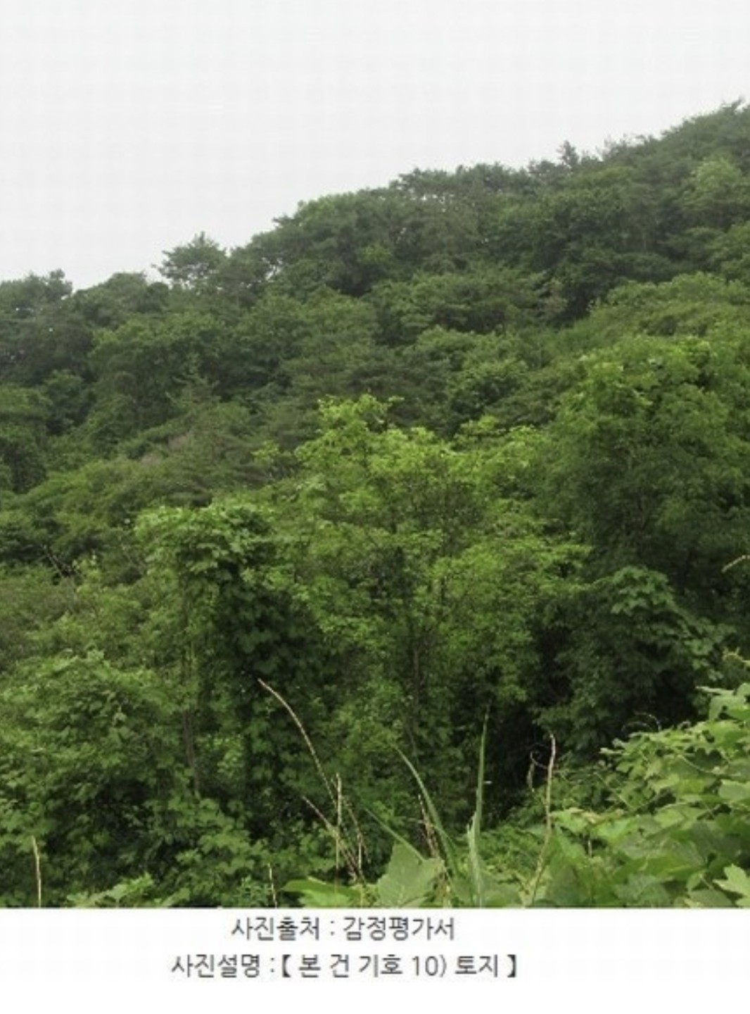Post image 6