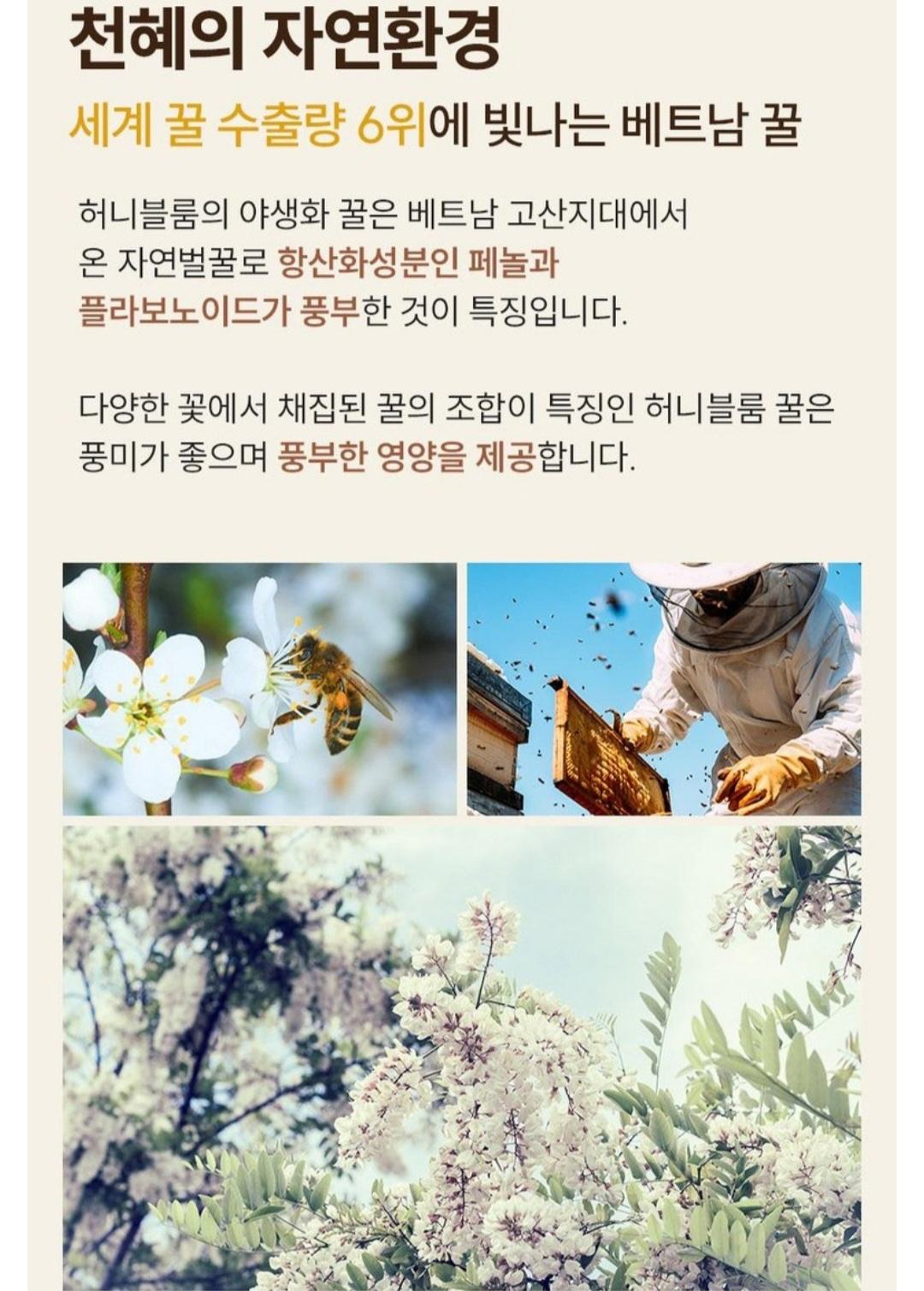 Post image 20
