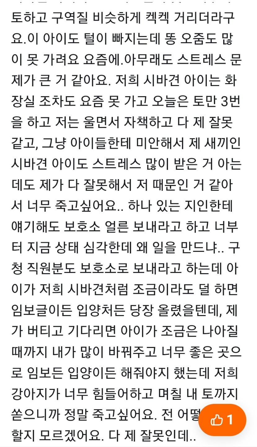 Post image 4