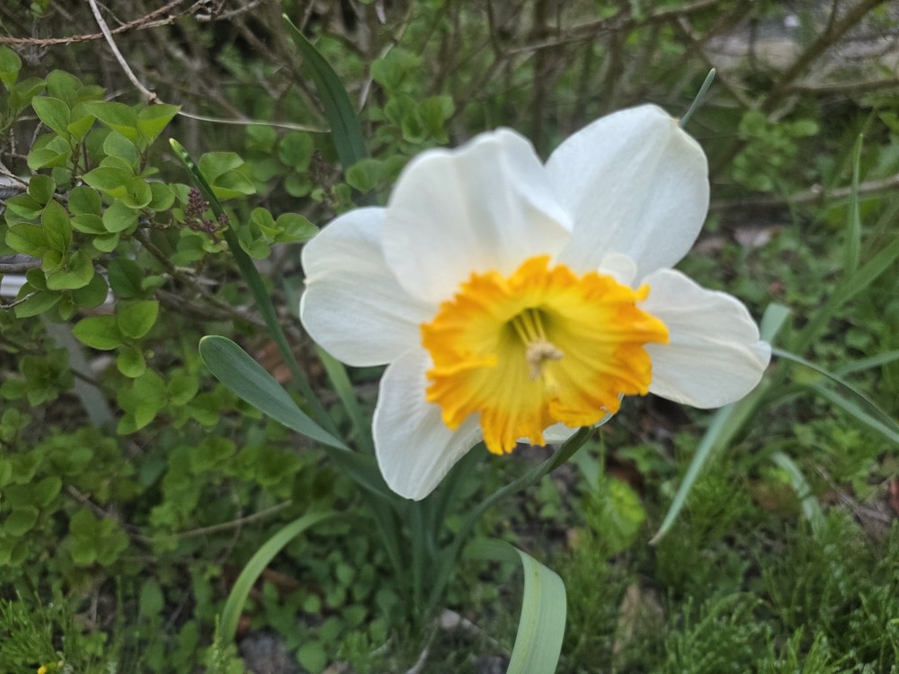 Post image 6