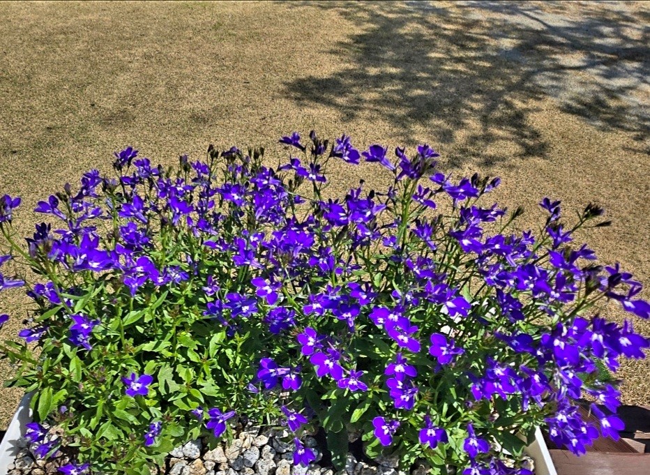 Post image 1