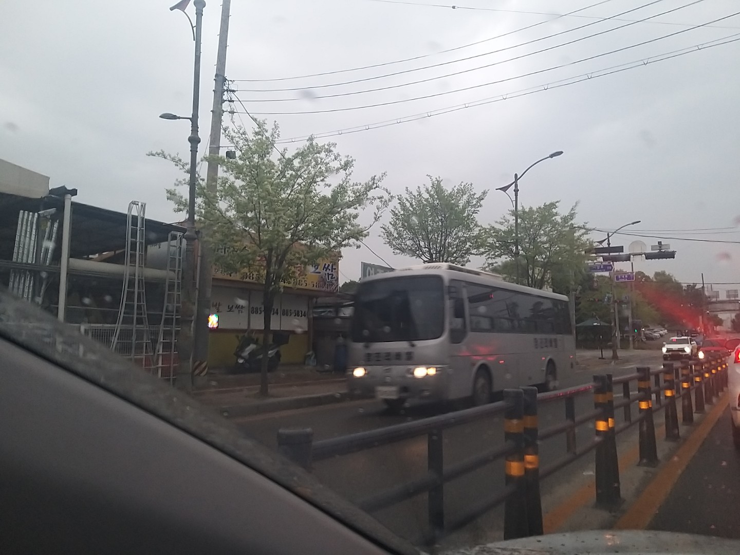 오늘의 산책길 👣