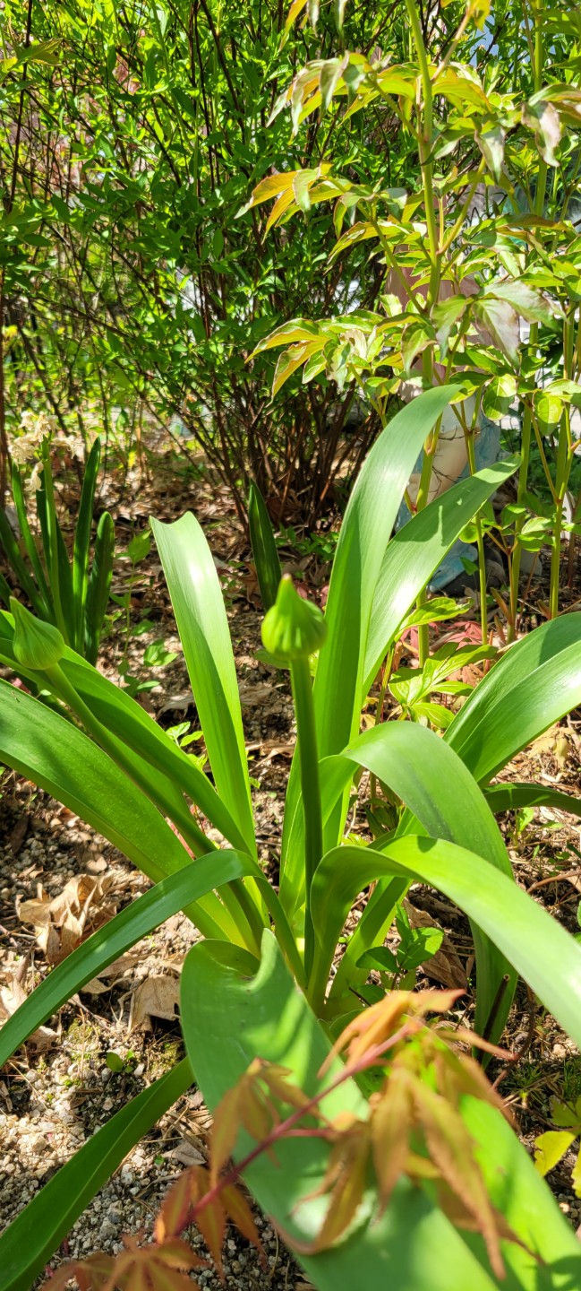 Post image 3